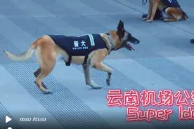 Super Idol的笑容都没“你”的甜图片