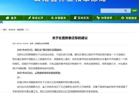 网友建议将北迁象群引入预设围栏后放归自然，云南林草局这样回复图片