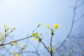 等闲若得春风顾，不负时光不负卿图片