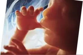 受精卵形成过程——致备孕夫妇图片