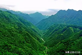 官方推荐！重庆这些乡村游线路值得打卡图片