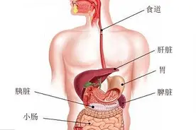 胃痛，一定是胃病吗？图片