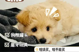 养狗交了很多智商税，那是你没有看到这图片