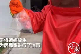 新乡居民家中蝙蝠出没！莫慌，正确的处理方式是这样图片