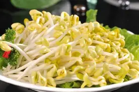 黄豆芽还是绿豆芽？哪个更好吃？图片