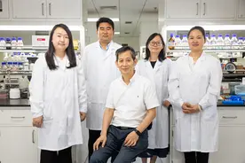 淀粉人工合成记图片