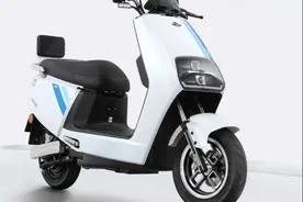 2款当红的电动车，动力强劲续航远，载人拉货两不误图片