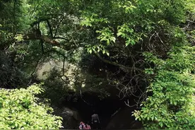 厦门：“引泉啜茗”蝉鸣处图片