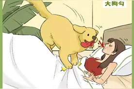 养大狗和小狗的区别（漫画）图片