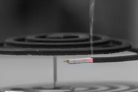 根据地点选驱蚊产品图片