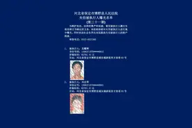 河北3市实名曝光！这31人将处处受限图片