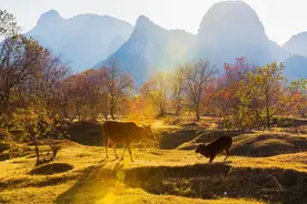 人生的四次觉醒，越早明白越好图片