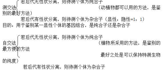 高中生物知识点总结