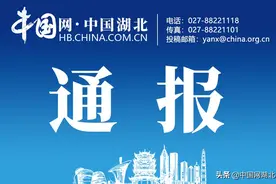 依法停批停建！湖北省发改委公示中央生态环境保护督察反馈意见专10号问题整改情况图片