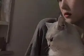 放不下他/她的文案「就当这是一次分开很久的冷战吧。」图片