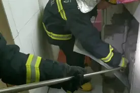 吓人！服装店卫生间发现有蛇，消防员出手擒拿图片