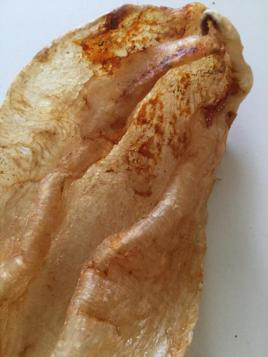 劣质花胶图片 2025年劣质花胶图片高清