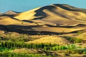 将沙漠种满树，能逆转全球变暖吗？深度分析4种帮地球降温的方法图片