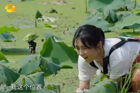 张子枫忘了水下镜头，弯腰一刻领子突然变大，导演紧急救场遮挡住图片