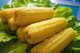 玉米软糯可口，怎么挑选到好玉米？首先要看白玉米还是黄玉米图片