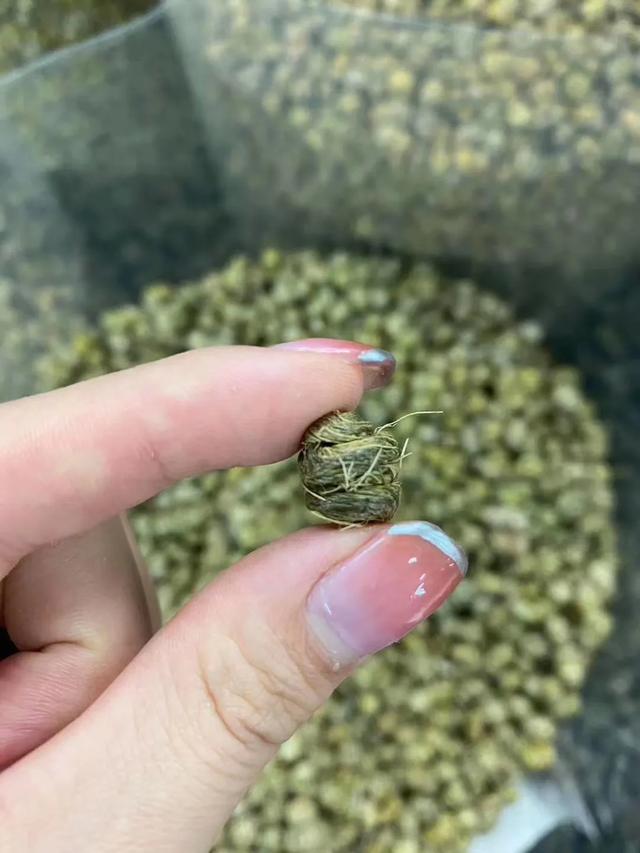 花胶响螺片煲鸡汤的功效 花胶响螺片煲鸡汤的功效与禁忌