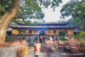除了赏花，我还想去普陀山静心听禅图片