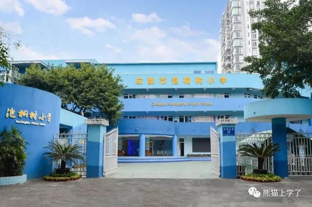 为什么同是成都户口，我家孩子被统筹了？成都幼升小录取顺位解读