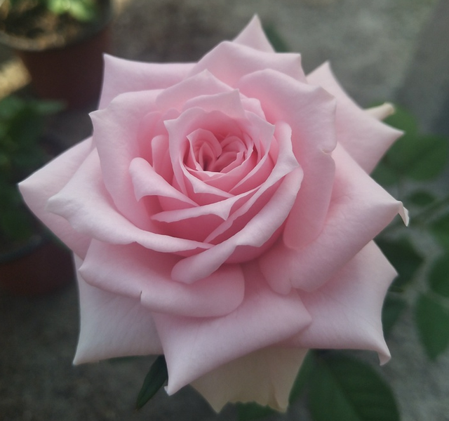 射手座穿什么样子的长裙子最好看,射手座是什么时候穿裙子漂亮-星座网