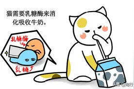 猫喝牛奶好吗？它对猫来说是健康的食物吗？哪款牛奶喝得更放心？图片