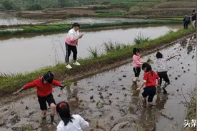 泸州记忆：蛇泡儿和薅秧泡儿，可吃可玩，不仅仅是农村的记忆图片