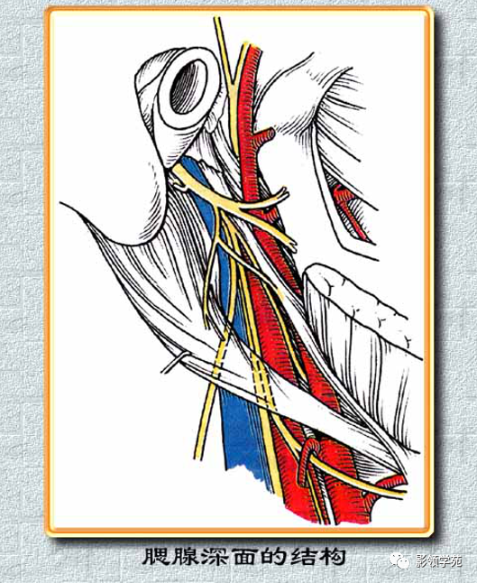 腮腺角化型鳞癌