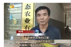 脱贫攻坚 | 常宁市胜桥镇高峰村：消费扶贫给力 300余亩蔬菜不愁卖图片