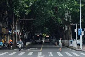 武汉最长和最短的路是哪条？图片