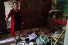 河南一父子被控黑夜中打死闯宅城管，判死刑死缓，缘于举报其村支书父亲涉嫌贪污，是故意杀人还是正当防卫？图片