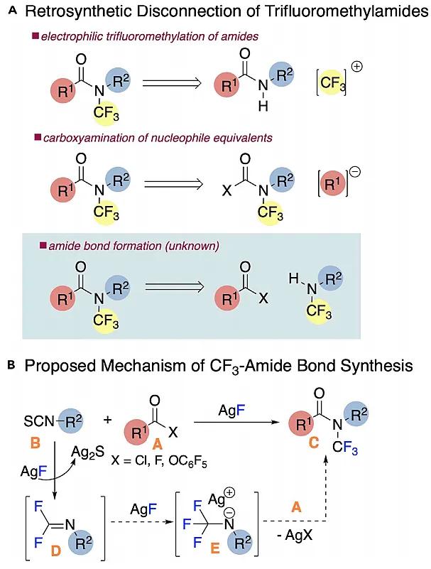 由羧酸合成N-三氟甲基酰胺