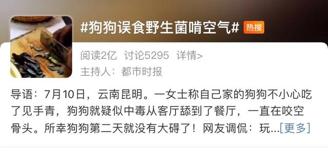 吃蘑菇起鸡皮疙瘩 吃蘑菇起鸡皮疙瘩