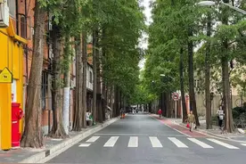 好消息！虹口3条道路变身精品示范路！快来看看有你家附近的吗？图片