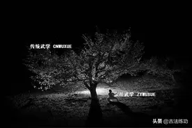 破译“松”与“沉”图片