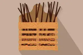 清洗后的筷子应该朝上放还是朝下放？图片