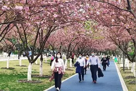 环球聚焦点丨外媒眼中的武汉“复苏之路”图片