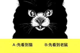 第一眼先看到猫还是老鼠，测你2020年遇到的贵人是谁图片