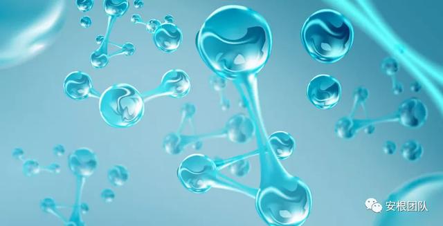 生物刺激素2:氨基酸