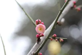 “善良过头，便是大恶”，以下这几种“善良”，往往会毁了自己图片