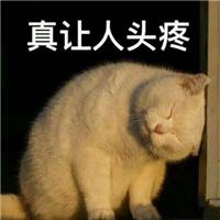 word文档删除页眉页脚横线（Word中烦人的页眉横线就是删不掉这里有4种删除方法一看就会）