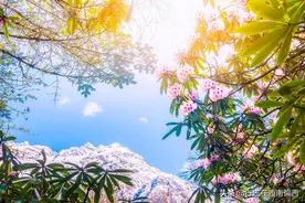 我的甘孜，15年旅行攻略（一）：成都到康定——杜鹃花之路图片