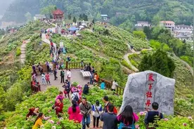 重庆最牛的4个县，垫江第1，忠县第2，奉节第3，云阳第4图片