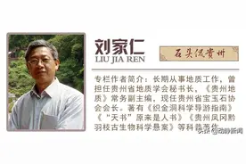石头侃贵州｜像陶罐、似窗棱……这些千奇百怪的观赏石竟是同源图片
