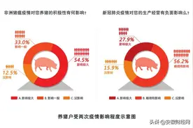 生猪养殖到底能不能赚钱图片