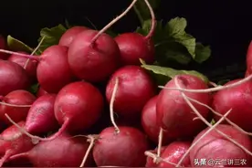 栽培甜菜，用合适的土壤进行栽培甜菜，有助于促进其生长图片