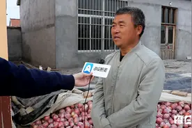 70多万斤苹果滞销愁坏果农 急需援手解困境图片